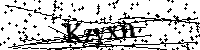 Please type the letters below