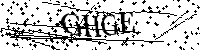 Please type the letters below