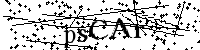 Please type the letters below