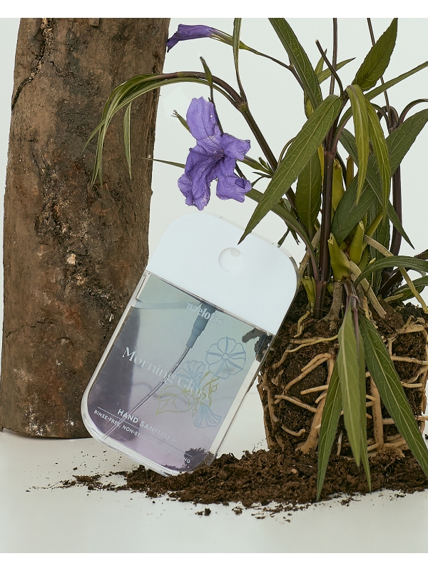 HAND SANITISER - MORNING GLORY